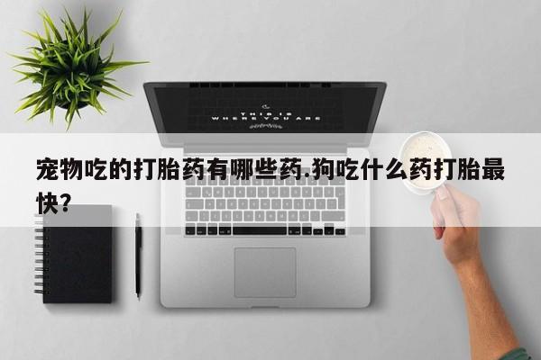 药流药购买微信宠物吃的打胎药有哪些药.狗吃什么药打胎最快？