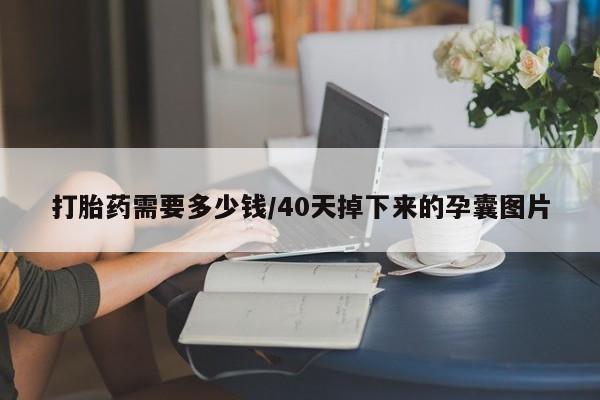 药流药购买微信打胎药需要多少钱/40天掉下来的孕囊图片
